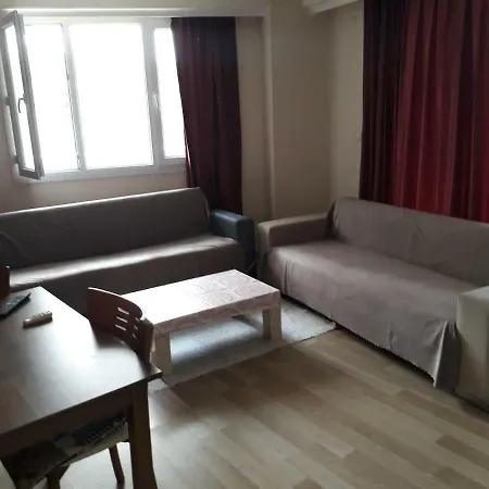 1+1 Bedroom City Center Daire