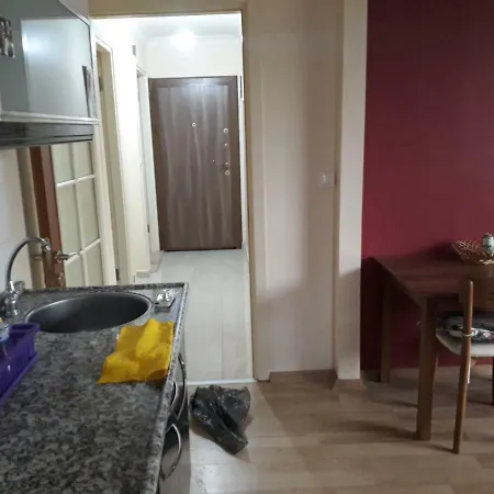 1+1 Bedroom City Center Daire Kuşadası
