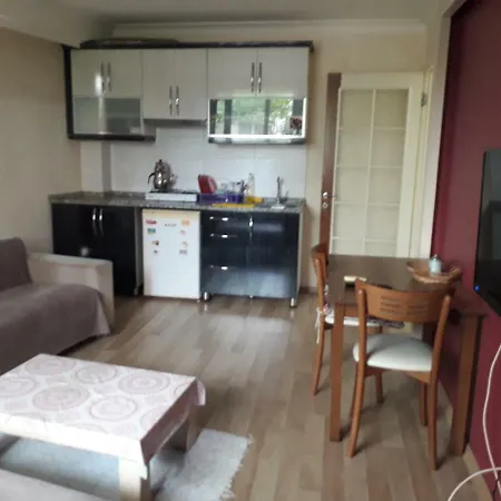 公寓 1+1 Bedroom City Center 库萨达斯